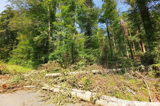 Sturmschden auf der L134  zwischen Ka...ein nach dem Unwetter am 22. Juni 2023  | Foto: Landratsamt Lrrach /Fachbereich Straen