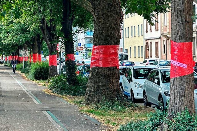 Rot sahen viele Brger in der Offenbur...und der Moltkestrae  gerichtet hatte.  | Foto: Helmut Seller