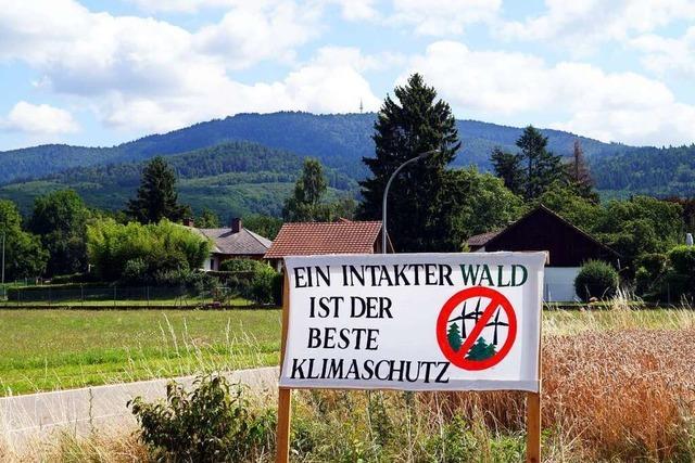 Eine Mehrheit für das Windrad beim Blauenhaus hätte es in Badenweiler nicht gegeben
