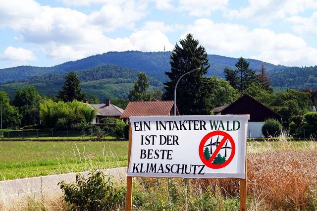 Die von der Brgerwindpark GmbH  gepla...e dieses Banner bei Obereggenen zeigt.  | Foto: Silke Hartenstein