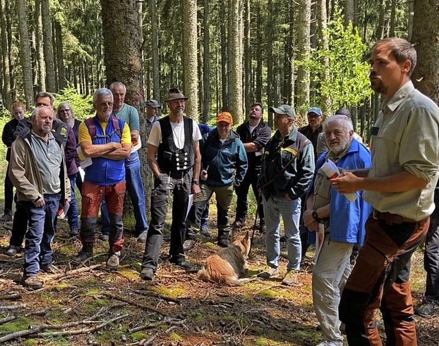 Forstbezirksleiter Andr Eickmann (rec... Waldbesitzer rund um den Borkenkfer.  | Foto: Peter Stellmach