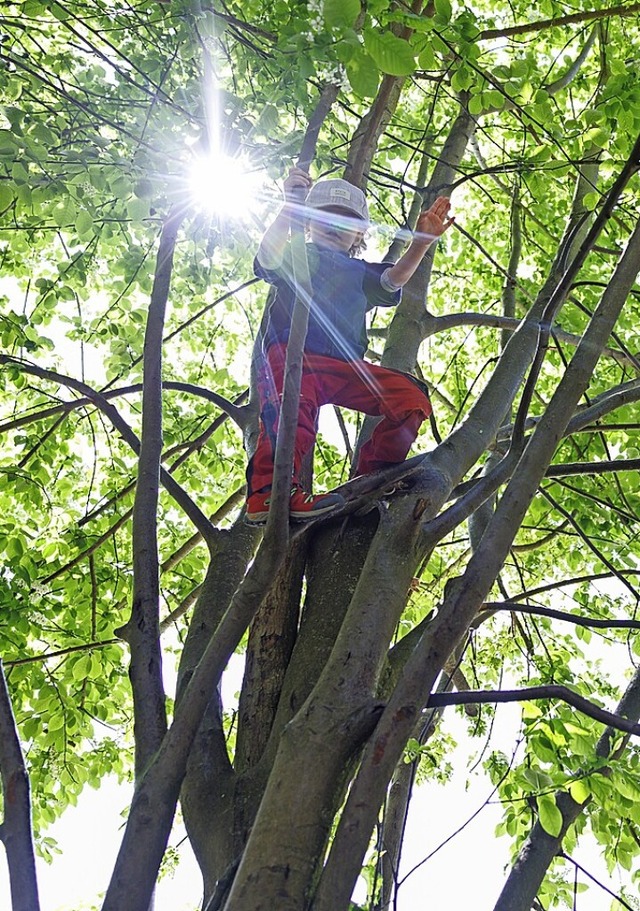 Fr Waldkindergrten lsst sich bislang noch relativ leicht Personal finden.  | Foto: Daniel Karmann