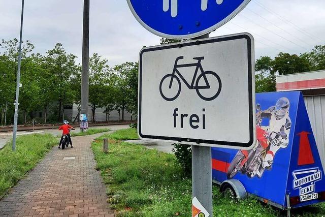 Bei diesem Radweg in Friedlingen gibt es Licht und Schatten