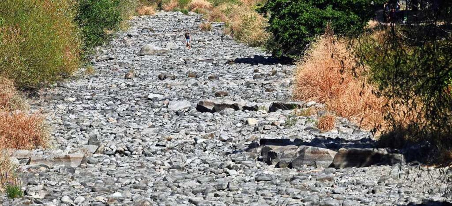Das Flussbett der ausgetrockneten Dreisam im August 2022   | Foto: Thomas Kunz