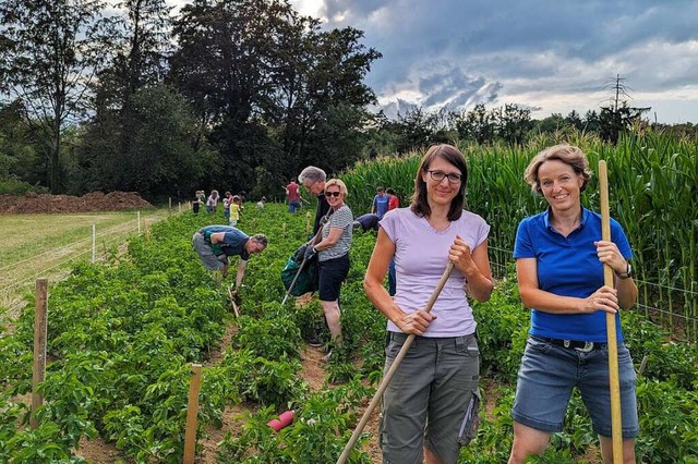 Die Vorsitzende des Obst- und Gartenba...lien auf dem Mitmachacker in Niederhof  | Foto: Julia Becker