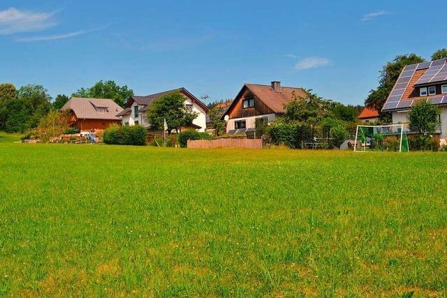 Mhwiese statt Baugebiet: Naturschutz verhindert Neubauten in Rtenbach