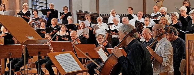 Der Chor der Kantorei Lahr trat zusamm...arnulyte in der Stiftskirche Lahr auf.  | Foto: privat