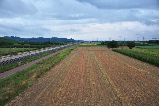 Auf einer Lnge von rund 1,2 Kilometer...ndamms auf Auggener Gemarkung geplant.  | Foto: Jutta Schtz