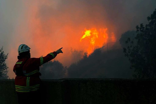 Ein Feuerwehrmann zeigt auf den Waldbr...nstrittig eine Folge der Erderwrmung.  | Foto: Armando Franca (dpa)