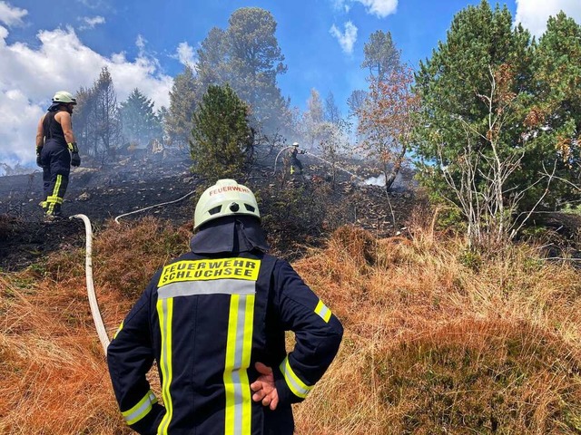 Immer wieder rufen Flchenbrnde die F... Aufnahme entstand 2022 in Schluchsee.  | Foto: Michael Saurer