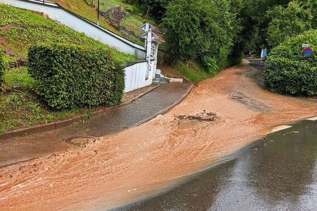 Beim Thema Hochwasserschutz &#8211; hi...r Kanton-Basel Stadt zusammenarbeiten.  | Foto: Heinz und Monika Vollmar