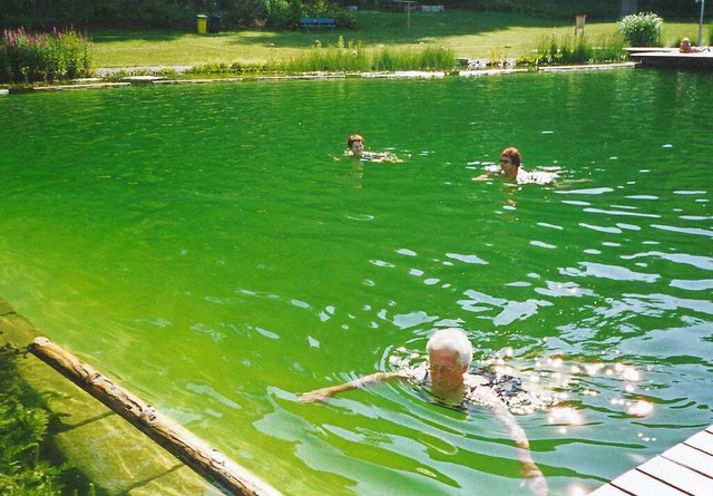 Die 94-jhrige Hedwig Kurz (vorne) schwimmt regelmig im Naturbad Sulz.  | Foto: Vera Wilhelm
