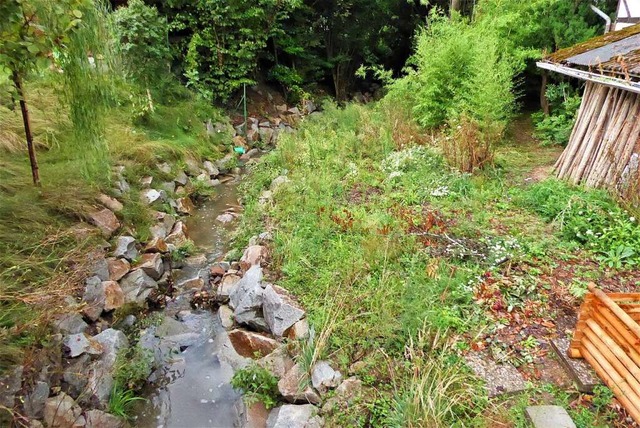 Klein, aber o weh: Der Wannenbach sorg...Windenreute fr manche berschwemmung.  | Foto: Sylvia Jahn