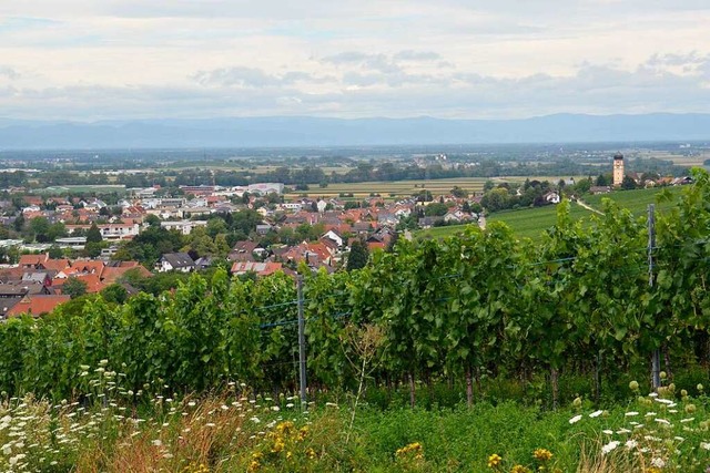 Ehrenkirchen besteht aus den Ortsteile...nadingen, Kirchhofen und Ehrenstetten.  | Foto: Sophia Hesser