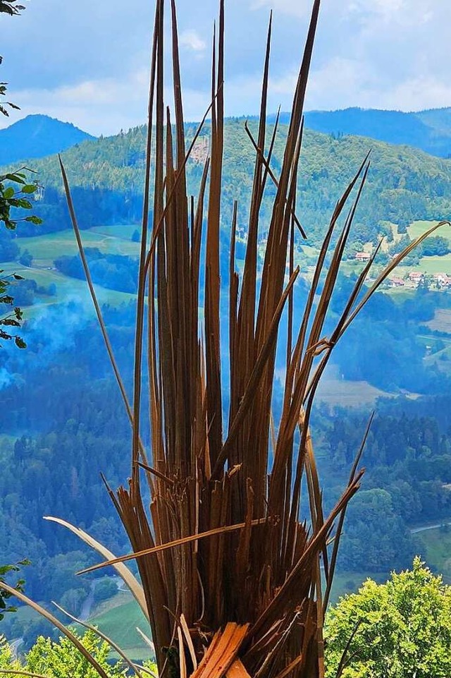 Das Ausma der Unwetterschden nach de...or zwei Wochen ist grer als gedacht.  | Foto: Gerald Nill