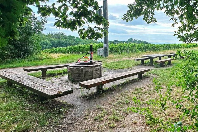 ffentliche Grillpltze in Waldnhe d...eis Emmendingen wieder genutzt werden.  | Foto: Helmut Seller