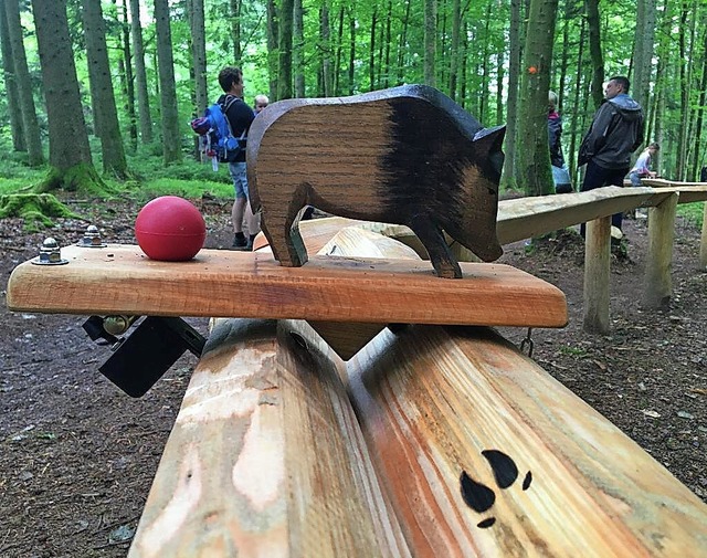 Der Kugelwaldpfad ist seit zwei Jahren ein Publikumsmagnet.  | Foto:  Tina Prause