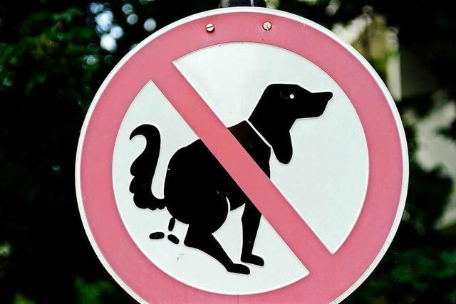 Beschwerden über Hundekot auf Freiburger Friedhöfen häufen sich