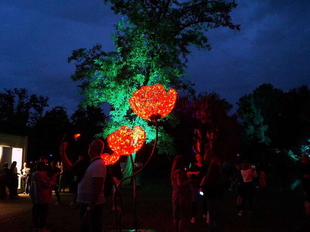 Mit illuminierten Bumen und Lichtinstallationen wirkte der Kurpark wie verzaubert.