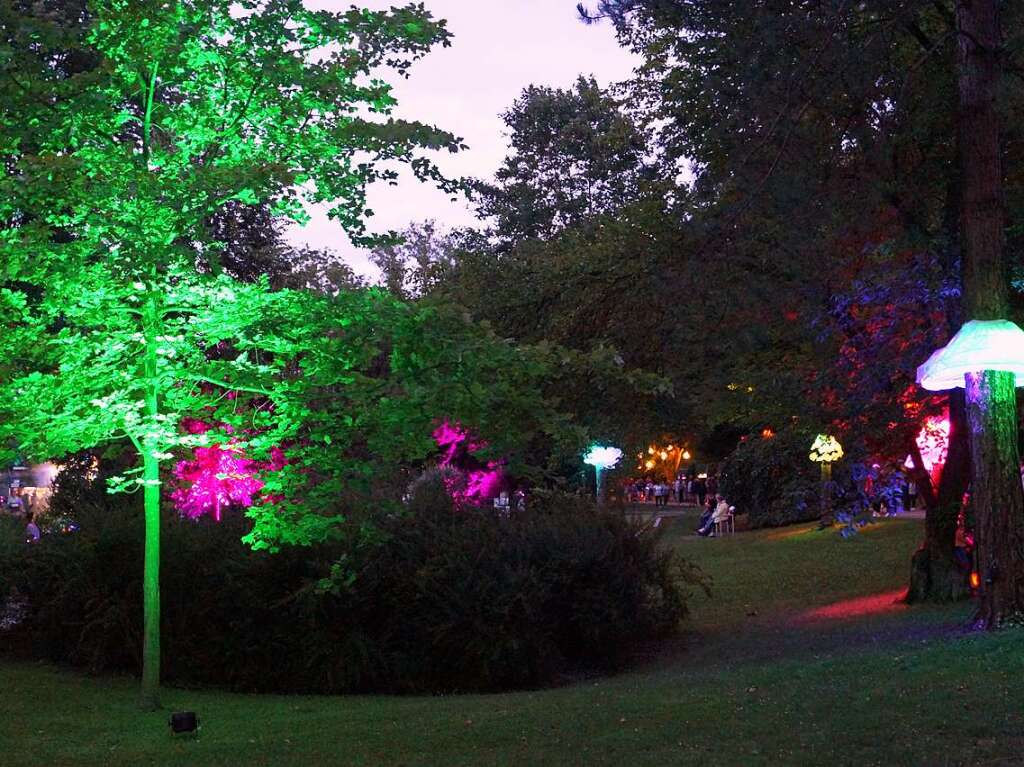 Mit illuminierten Bumen und Lichtinstallationen wirkte der Kurpark wie verzaubert.