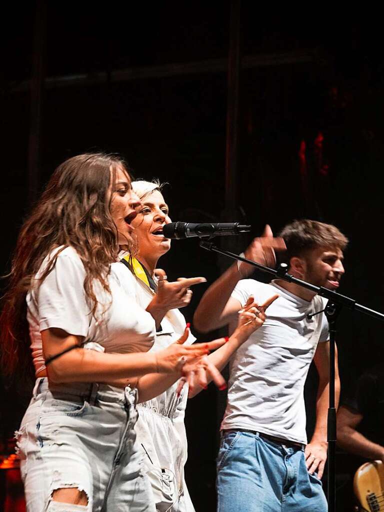 Die italienische Tributeband "Punk Deluxe" begeisterte mit der Musik der amerikanischen Rockrhre Pink.