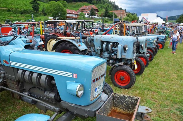 Schlepper in Reih und Glied: Blaue Eicher parken auf der Festwiese.  | Foto: Christian Ringwald