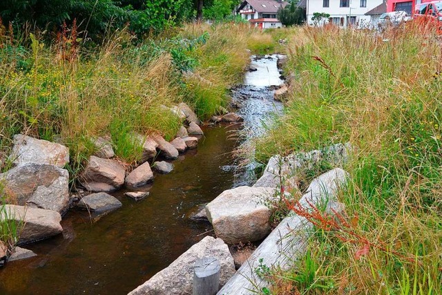 Der Rtenbach mit bewachsenem Uferstreifen.  | Foto: Liane Schilling