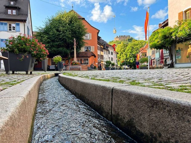 Bchle und Burg prgen das  Stadtbild von Staufen  | Foto: Susanne Ehmann