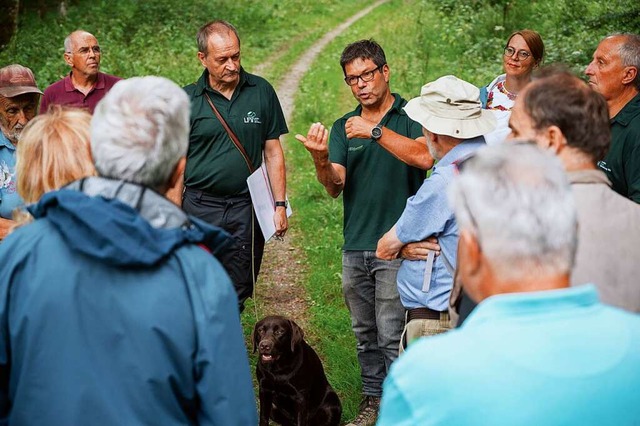 Revierleiter Markus Dischinger (gestik...r (links daneben) bei der Waldbegehung  | Foto: Ansgar Taschinski