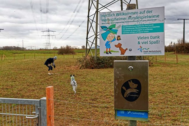 In Herbolzheim gibt es seit Kurzem eine Hundewiese.   | Foto: Martin Wendel