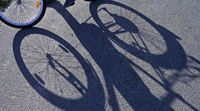 Der Gemeinderat Simonswald will ein Radwegekonzept.  | Foto: Stefan Sauer (dpa)