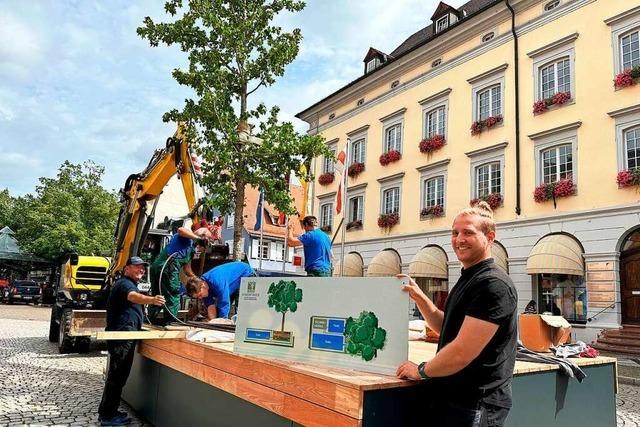 Pilotprojekt bringt standortflexible Bäume in die Offenburger Innenstadt