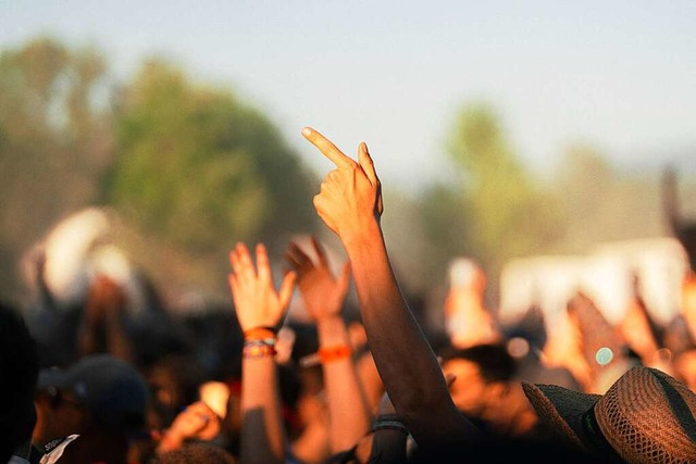 Auf einer Freiflche im Dietenbachpark fanden im Juli mehrere Raves statt.  | Foto: Stefan Hipp