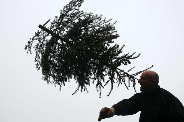 Landrtin rechtfertigt den Ausstieg des Kreises Lrrach bei Christbaumsammlungen