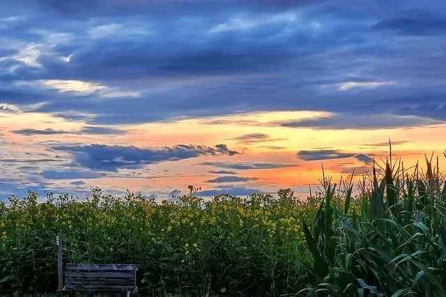 Wie wundersch�n es ist, wenn es aufh�rt zu regnen