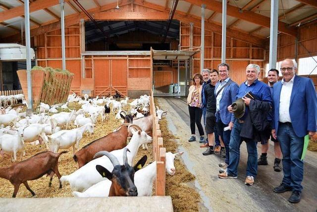 Moderner Ziegenhof in Elzach nach hchsten Bioauflagen