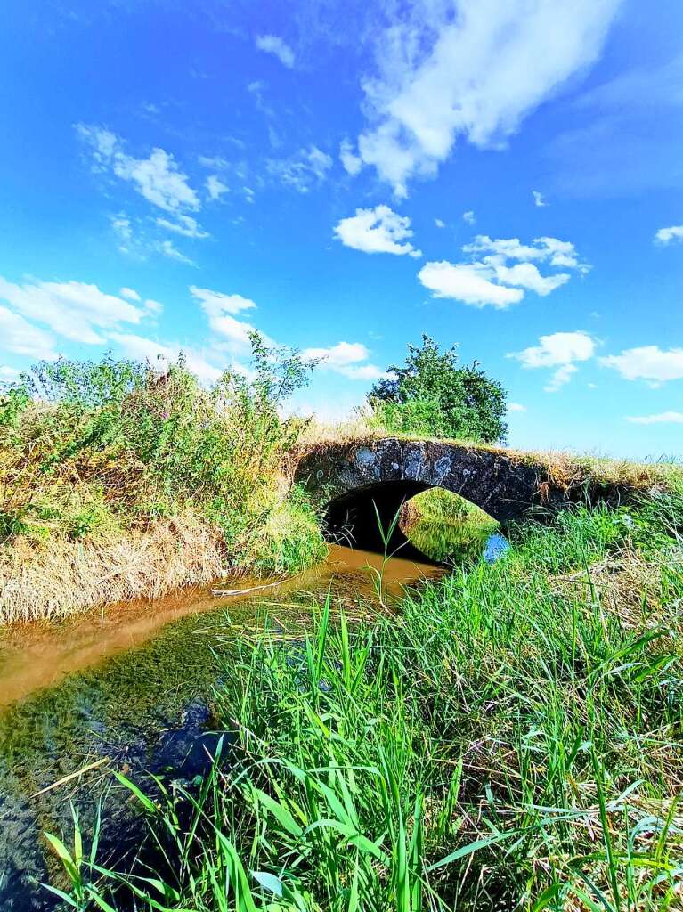 Ein kleines Brckle in den Elzwiesen zwischen Rheinhausen und Herbolzheim