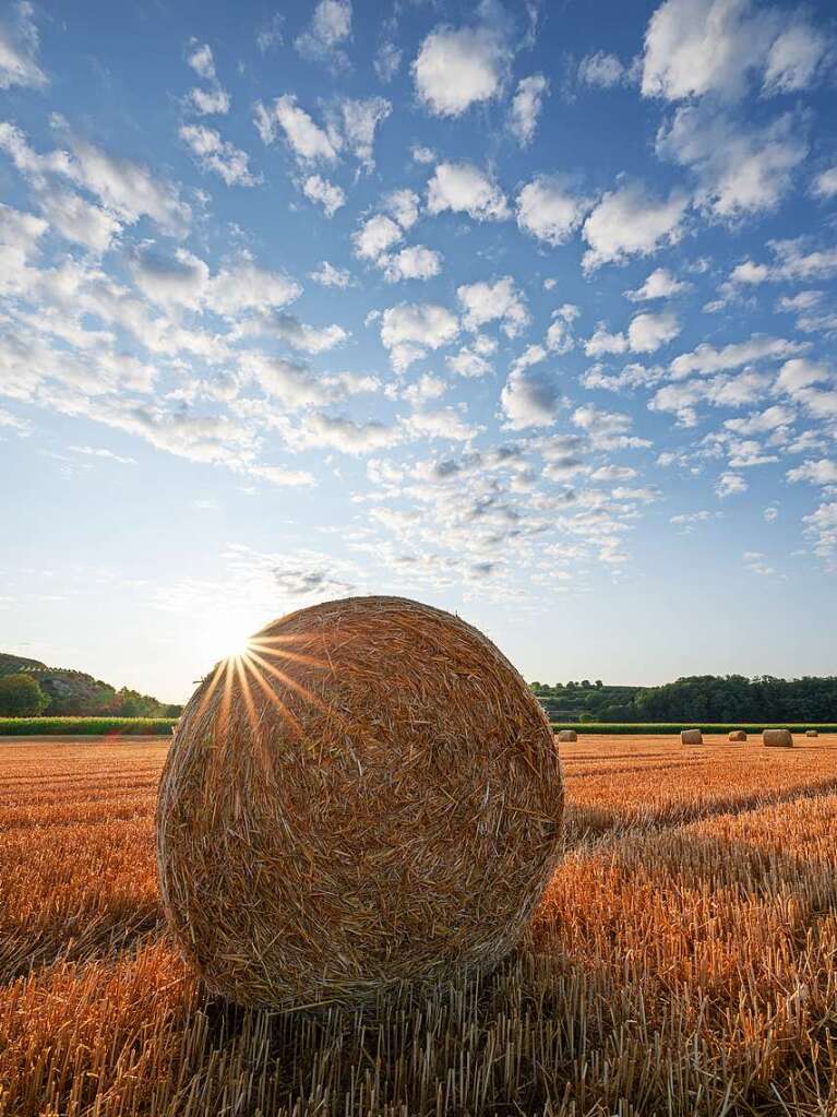 Lichtspiel auf einem abgeernteten Kornfeld bei Hecklingen