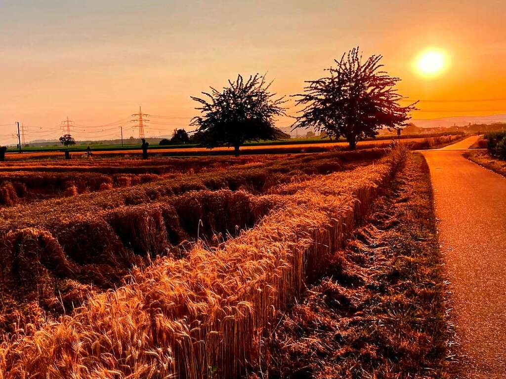 Ein einsamer Landwirtschaftsweg zwischen Riegel und Endingen morgens um 6.30 Uhr.