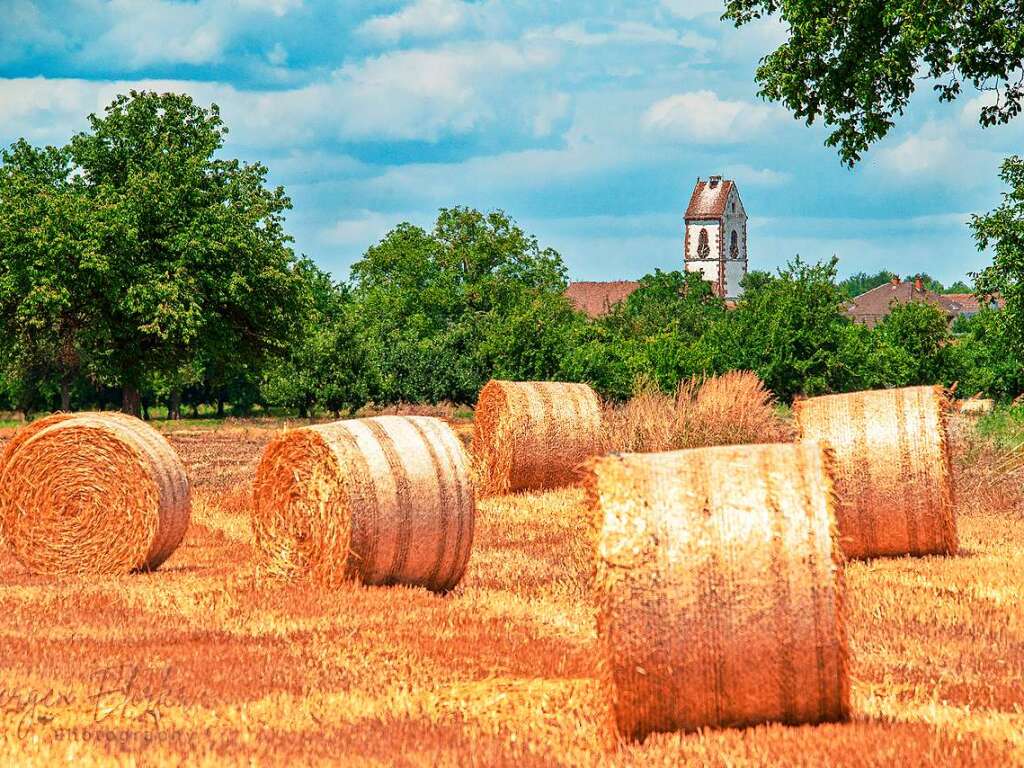 Heuballen vor der Kulisse der Weisweiler Kirche