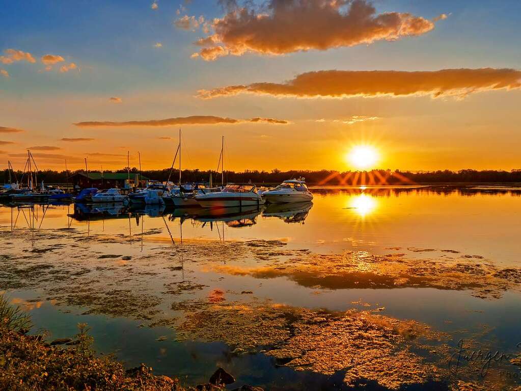 Stimmungsvoller Sonnenuntergang am Rhein bei Weisweil