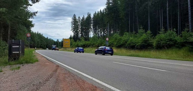 An der B31 zwischen Friedenweiler und ...ne Grnbrcke fr Wildtiere entstehen.  | Foto: Stefan Mertlik