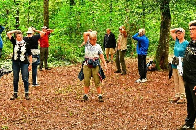 Fotos: Mehr als 60 Wanderlustige beim Gesundheitswandern in der Allmend