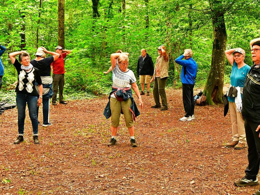 Fit im Wald: Gesundheitswanderfhrer Kurt Armbruster zeigte, wie es geht.