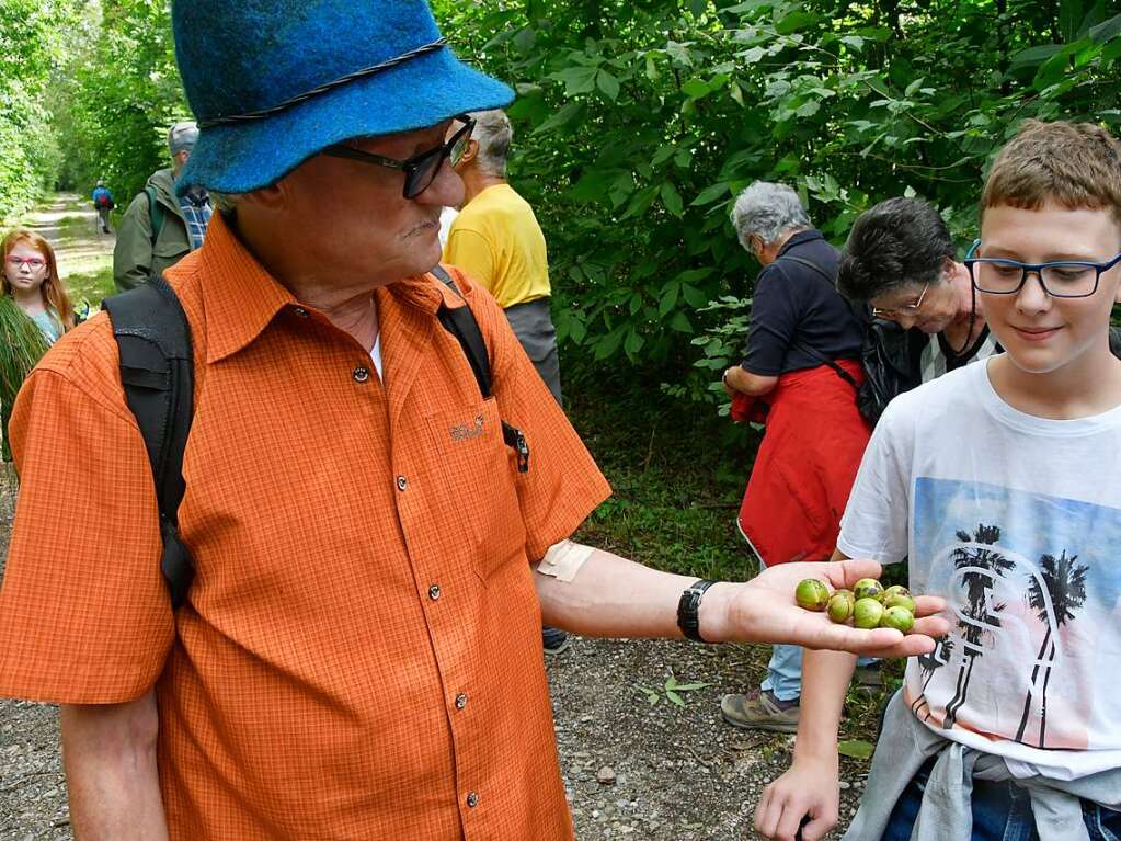 Fit im Wald: Gesundheitswanderfhrer Kurt Armbruster zeigte, wie es geht.