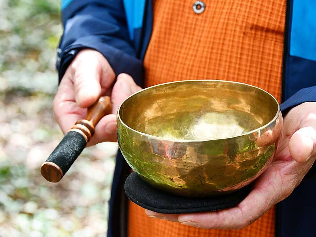 Fit im Wald: Gesundheitswanderfhrer Kurt Armbruster zeigte, wie es geht.