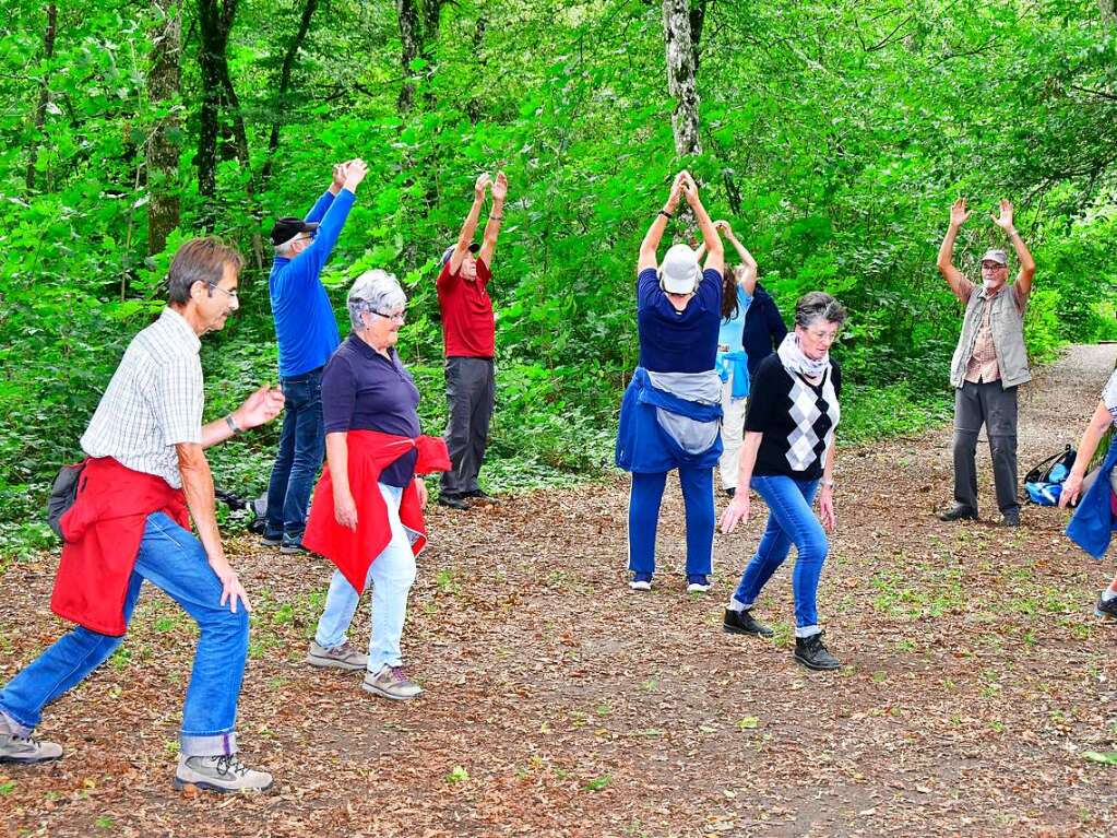 Fit im Wald: Gesundheitswanderfhrer Kurt Armbruster zeigte, wie es geht.