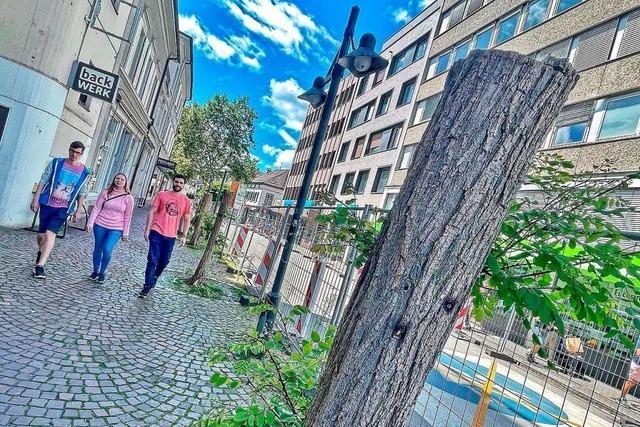 Stadt Lörrach verteidigt frühes Baum-Absägen in der Innenstadt