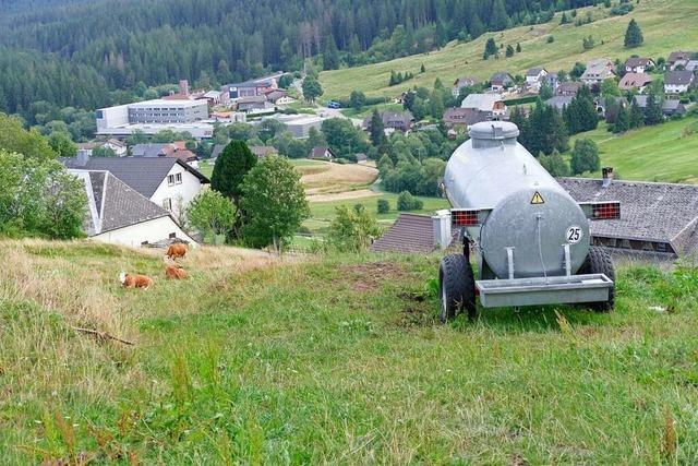 Experten informieren sich über Wasserversorgung im Schwarzwald