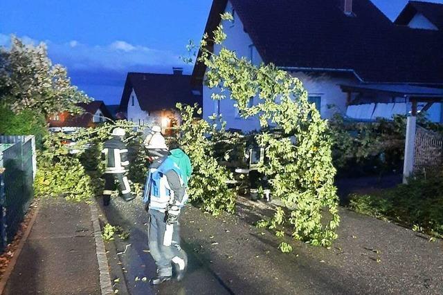 Trotz heftiger Windben bleibt Bonndorf von greren Schden verschont